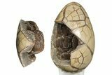 Polished Septarian Puzzle Geode - Black Crystals #191415-3